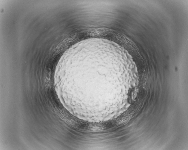X0000058110510200510211504