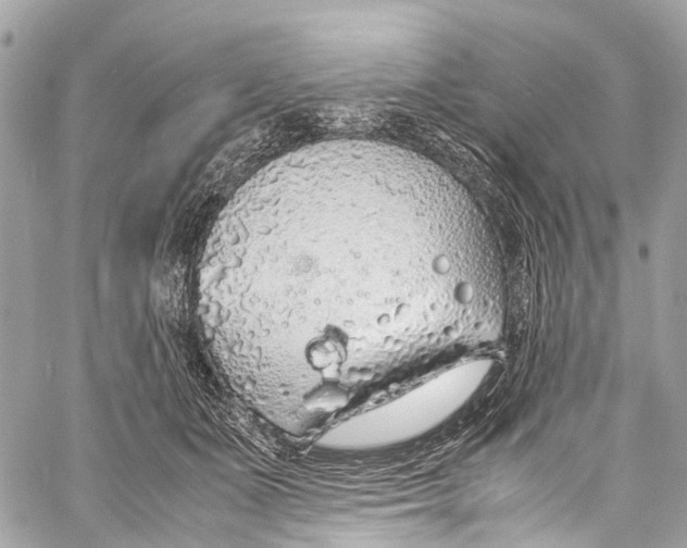 X0000058110511200510211504
