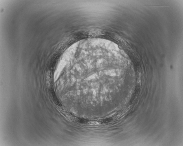 X0000058110519200510211504
