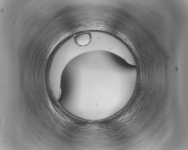 X0000058110534200510211503