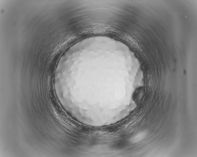 X0000058110542200510211503
