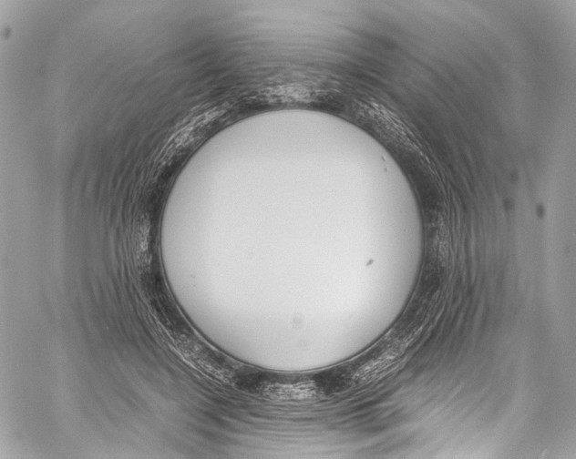 X0000058110548200510211503