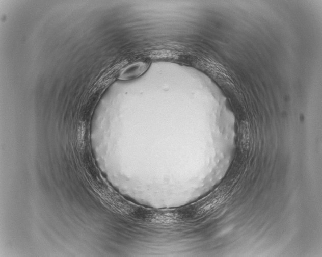 X0000058110550200510211503