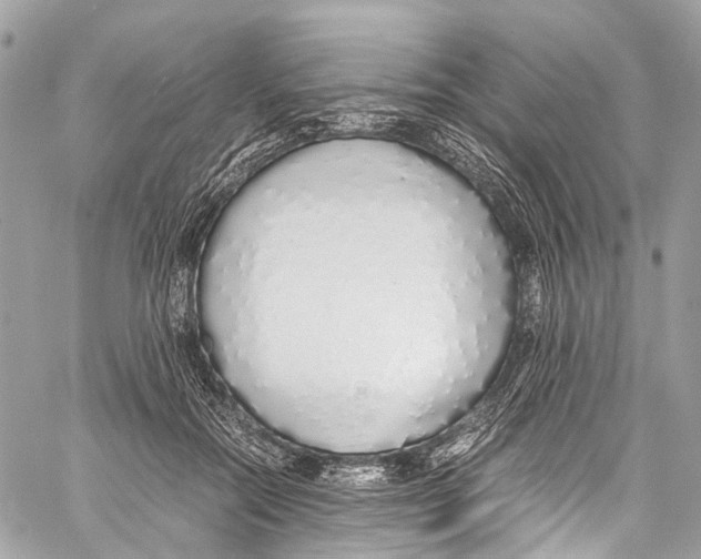 X0000058110554200510211503