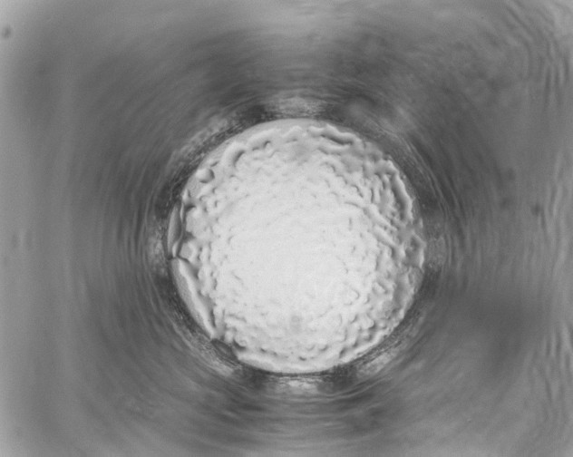 X0000058110573200510211504