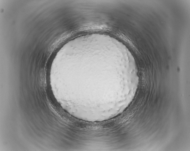 X0000058110582200510211503