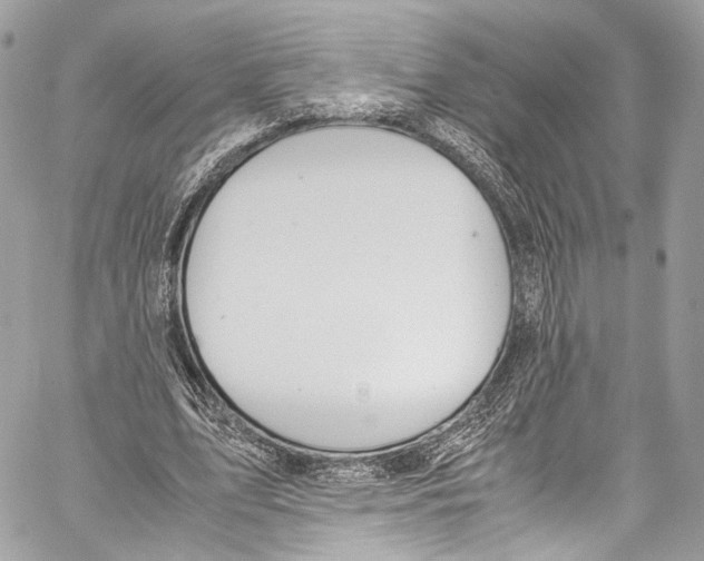 X0000058110583200510211503