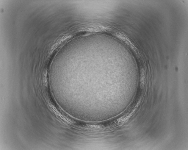 X0000058110585200510211503