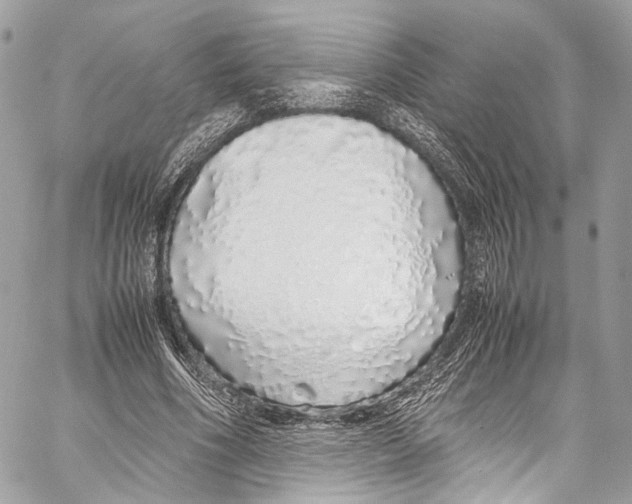 X0000058110586200510211503