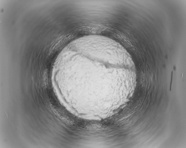 X0000058110594200510211503