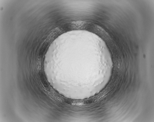 X0000058110602200510211503