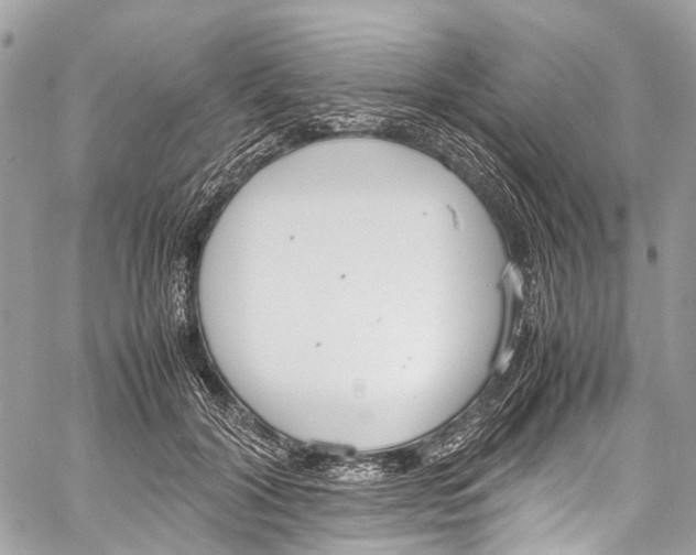 X0000058110604200510211503