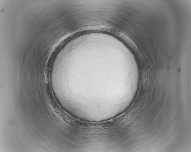 X0000058110628200510211502