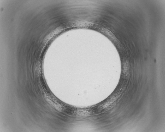 X0000058110632200510211502