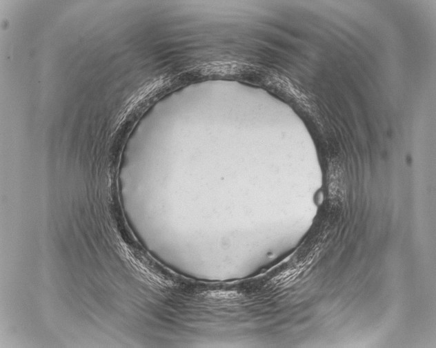 X0000058110637200510211502