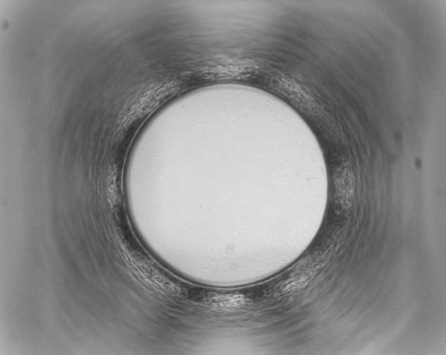 X0000058110642200510211502