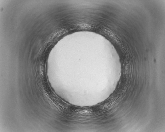 X0000058110643200510211502