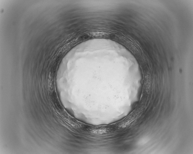 X0000058110653200510211502