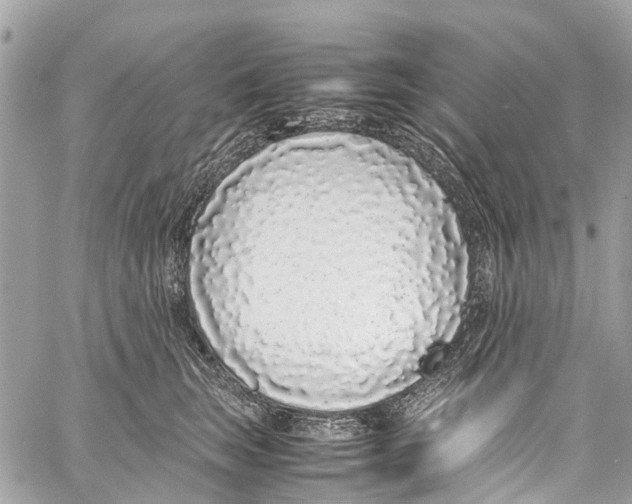 X0000058110663200510211502