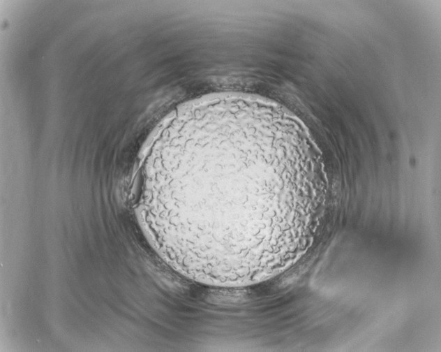 X0000058110671200510211502