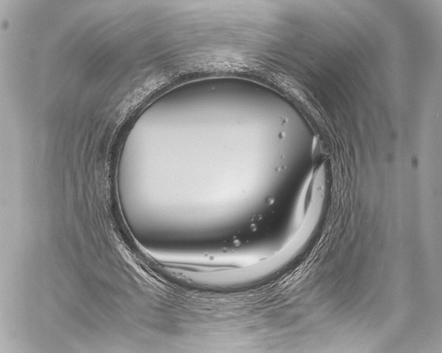 X0000058110677200510211501