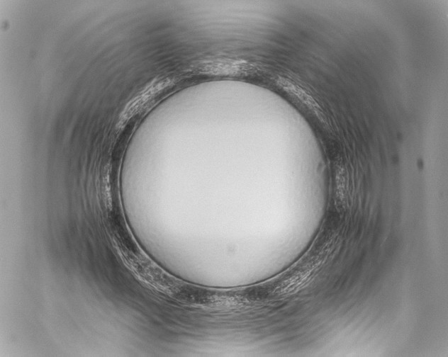 X0000058110682200510211501