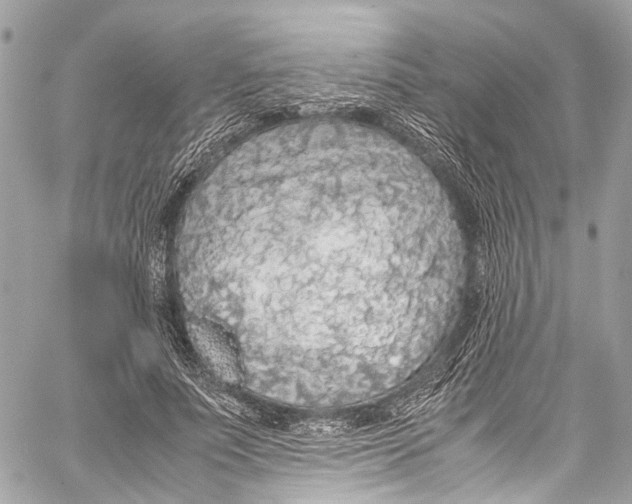 X0000058110691200510211501