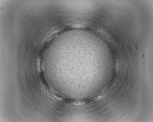 X0000058110696200510211501