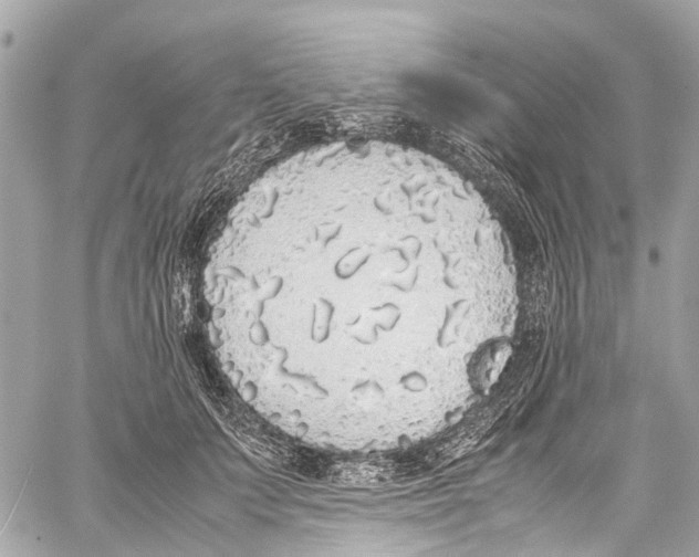 X0000058110703200510211501