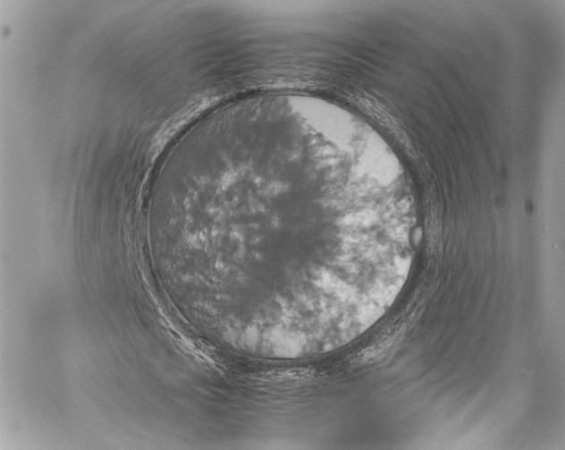 X0000058110721200510211500