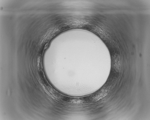X0000058110742200510211500