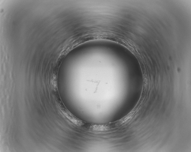 X0000058110766200510211501