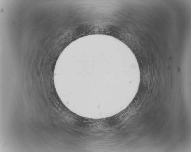 X0000058110769200510211500