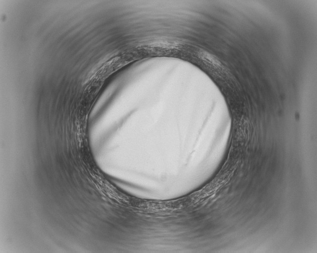 X0000058110774200510211500