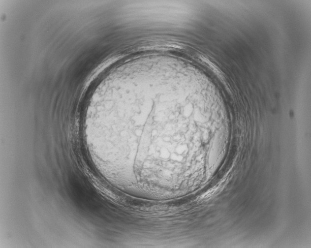 X0000058110779200510211500