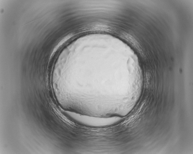 X0000058110780200510211500