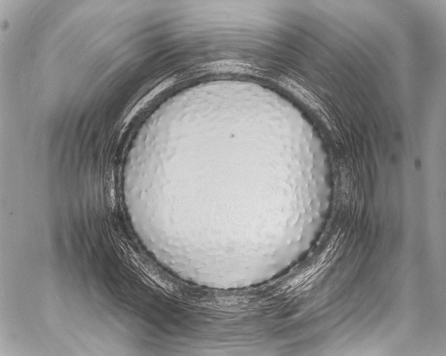 X0000058110782200510211500