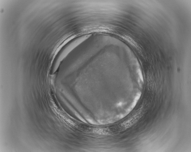 X0000058110790200510211500