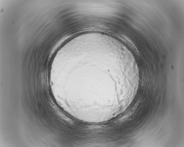 X0000058110796200510211459
