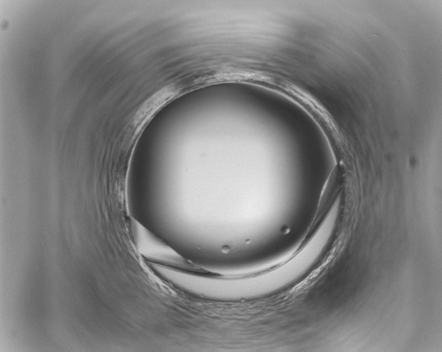 X0000058110809200510211459
