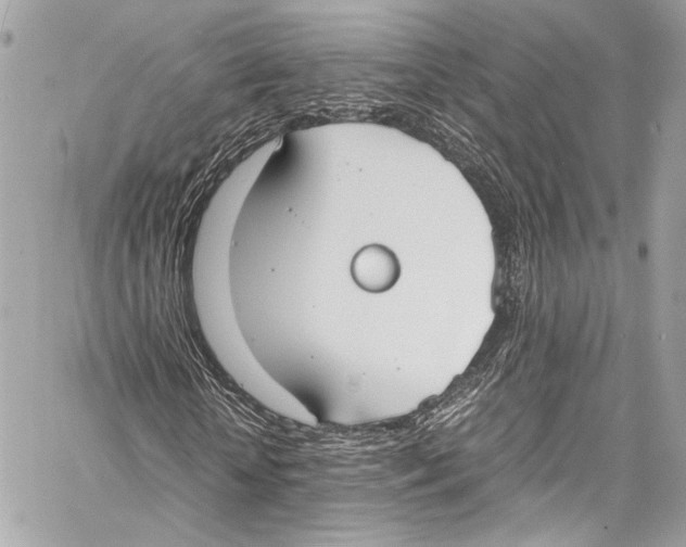 X0000058110818200510211458