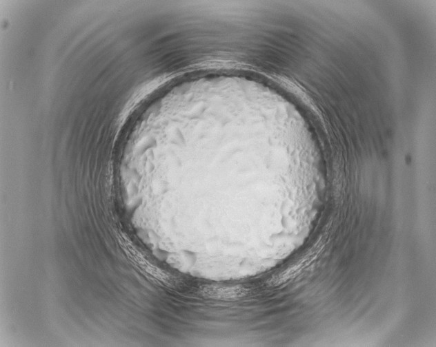 X0000058110831200510211459