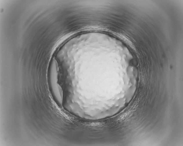 X0000058110839200510211459