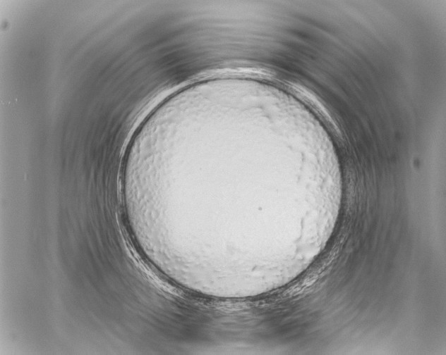 X0000058110852200510211459