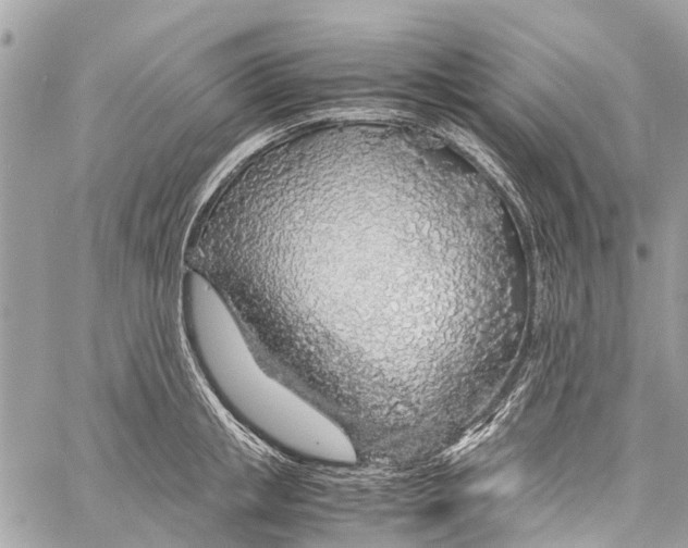 X0000058110853200510211459