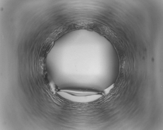X0000058110868200510211458