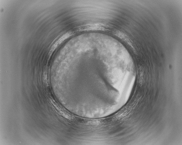 X0000058110882200510211458