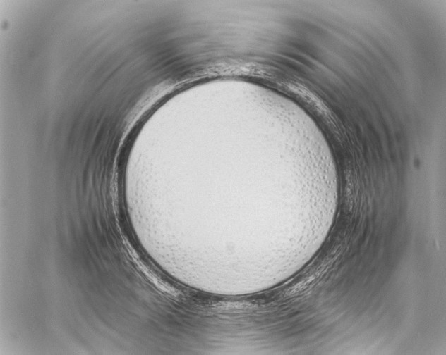 X0000058110894200510211458
