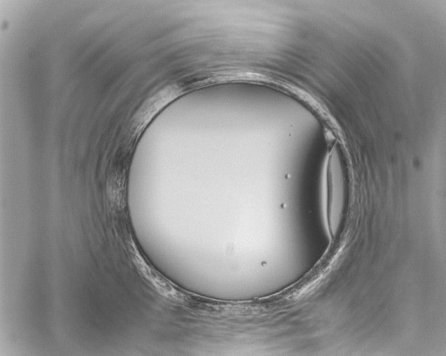 X0000058110905200510211458