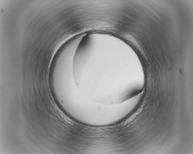 X0000058110924200510211457
